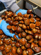 California Chestnuts - 1 Lb Gift Bag